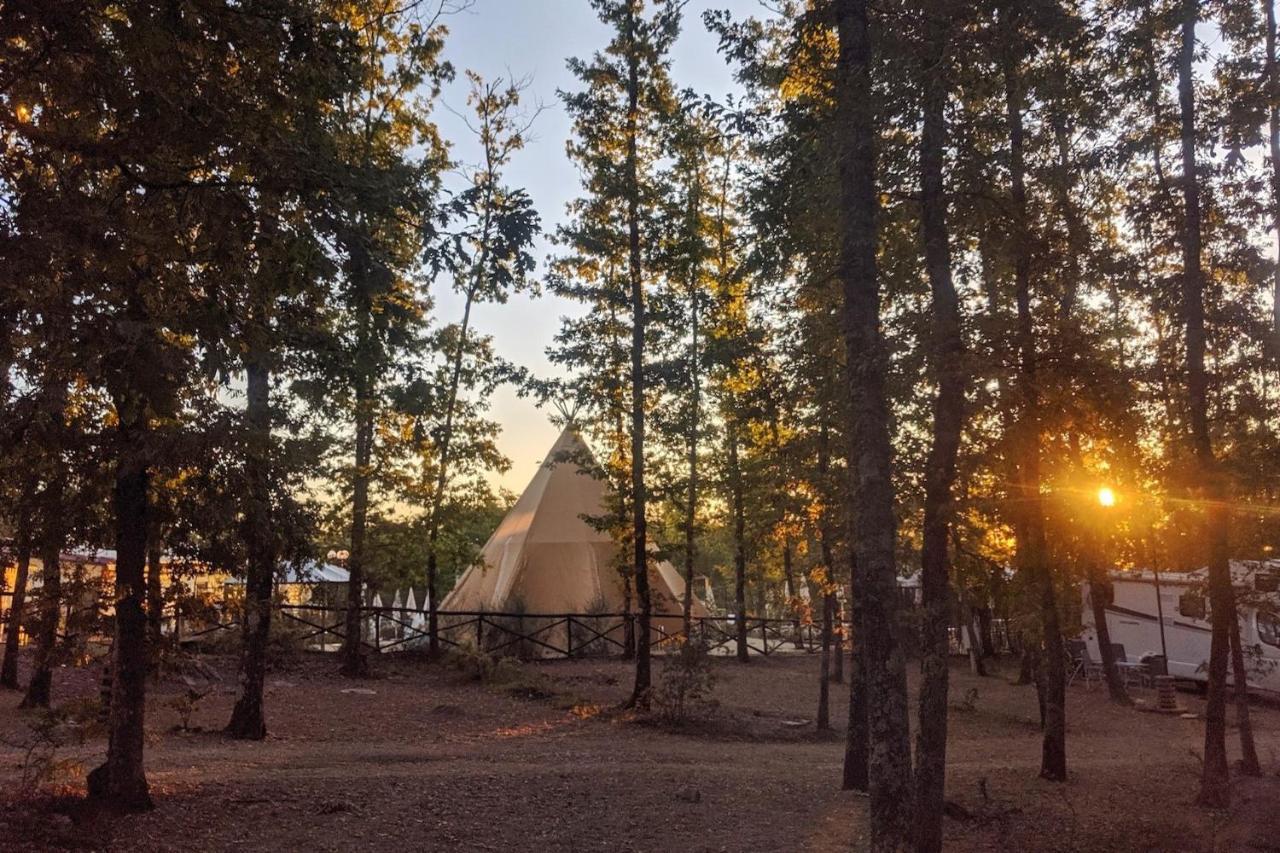Orlando In Chianti Glamping Resort Cavriglia Exterior photo